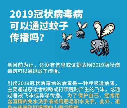世卫回应蚊子传播是谣言具体怎么回事