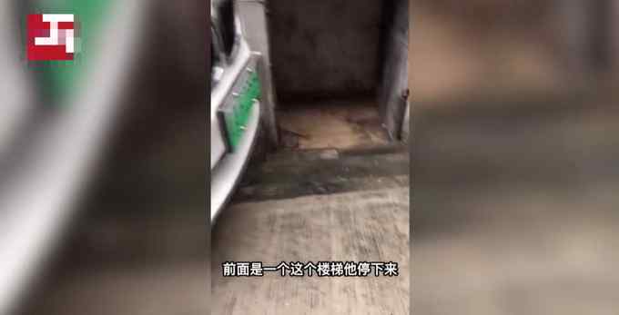 男子小区内找车却发现“神停车”！女司机淡定现场演示 他惊呆了