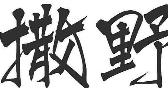 撒野小说的简介 撒野主要讲的是什么呀
