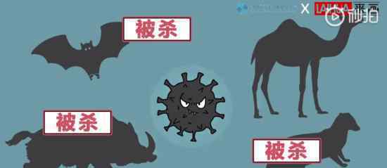 画说战疫科普视频 谁做的视频内容是