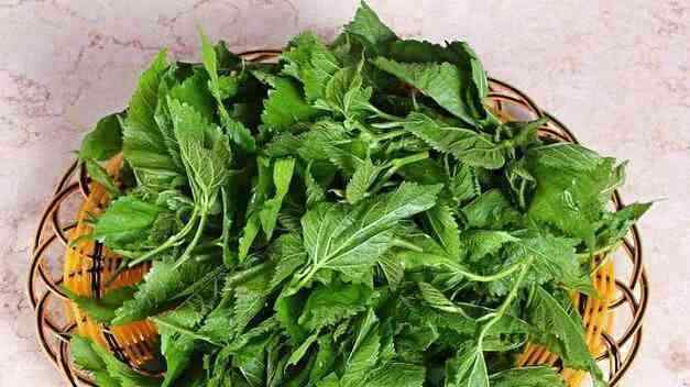 天然胰岛素食物有哪些 6种食物是“天然胰岛素”，血糖高的人每天吃一些对稳定血糖好