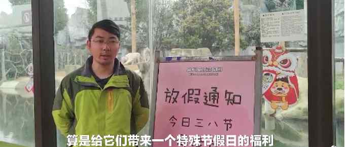 江苏一动物园三八节给母老虎放假 网友调侃：母狮子表示不服