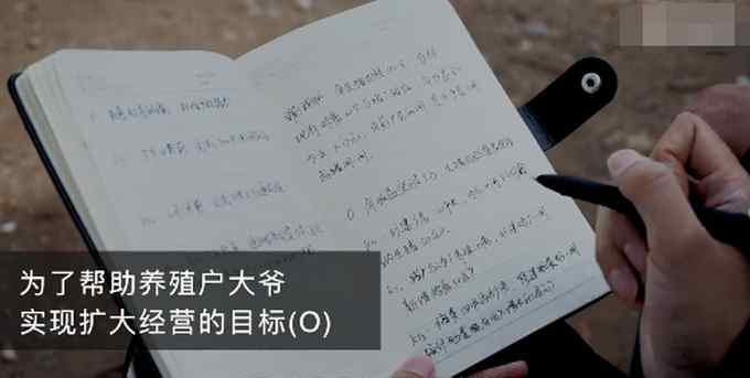 河南安阳97年基层干部用OKR养猪！网友：这猪看起来都眉清目秀的