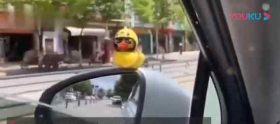 汽车装小黄鸭违法 什么情况一旦引发交通事故，车主全责