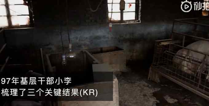 河南安阳97年基层干部用OKR养猪！网友：学习不好 以后养猪都养不了