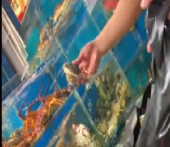 暗访海鲜市场死蟹变活蟹 具体情况是什么