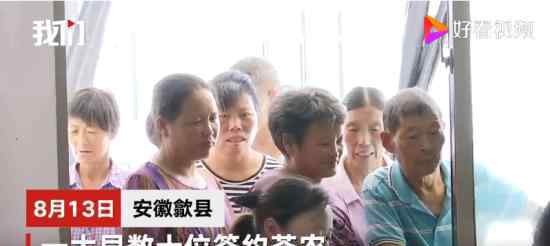 失声痛哭的茶企老板 总共损失多少钱