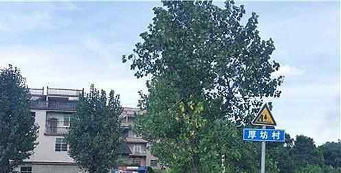 警方慰问入室杀人案受害者家属 具体慰问说了什么
