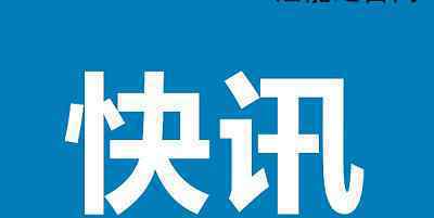 黎巴嫩海关关长因爆炸案被逮捕 究竟发生了什么