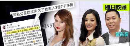 赵薇老公回应被起诉追债 赵薇老公欠债多少钱怎么回应