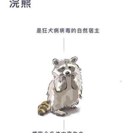 海南禁食陆生野生动物 为什么要这样做