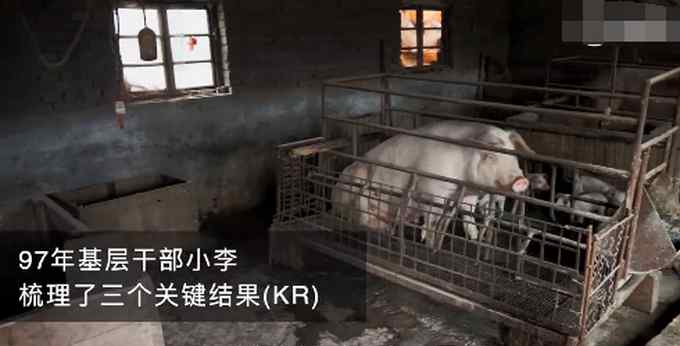 河南安阳97年基层干部用OKR养猪！网友：这猪看起来都眉清目秀的