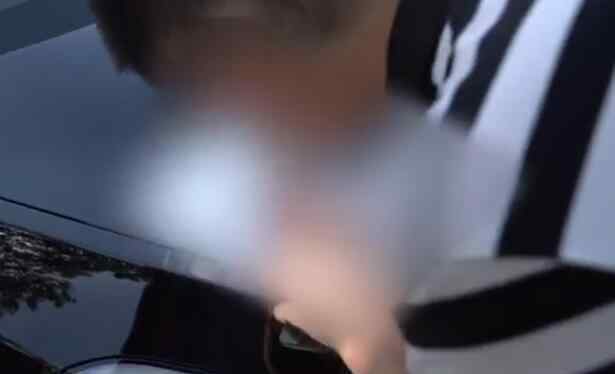 拼多多团购特斯拉车主顺利提车 具体花了多少钱