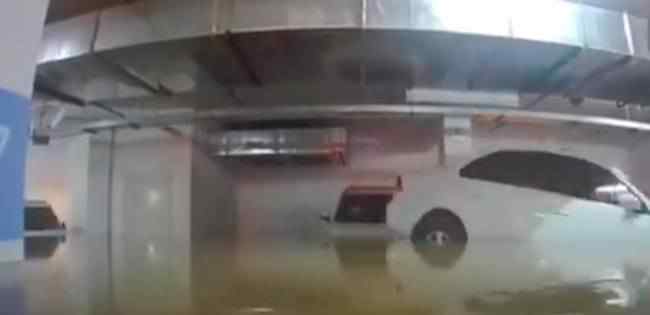 车库被淹洪水完美倒车入库 具体发生了什么