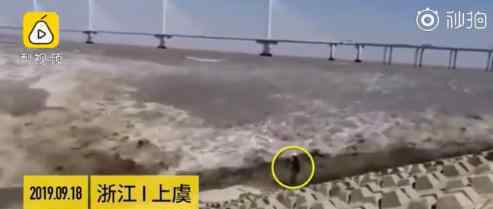 观潮被卷走11秒后被拍回岸 具体情况是什么