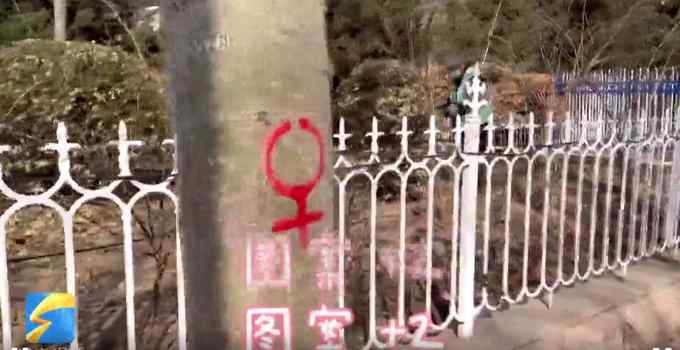 什么招？山东街头 杨树身上画上“男女”符号？