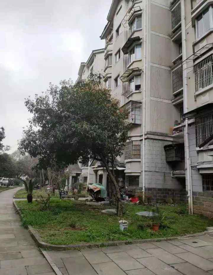 小伙突然上门报12年前一宿一饭之恩 浙江老人为何闭门不见？
