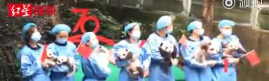 7只新生大熊猫拼出70图案 萌哭你预警