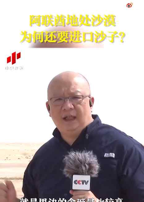 涨知识！迪拜每年花至少4亿美元进口沙子 网友：发现了“商机”