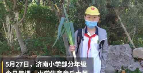 山东小学生复课带大葱 为什么要这样做