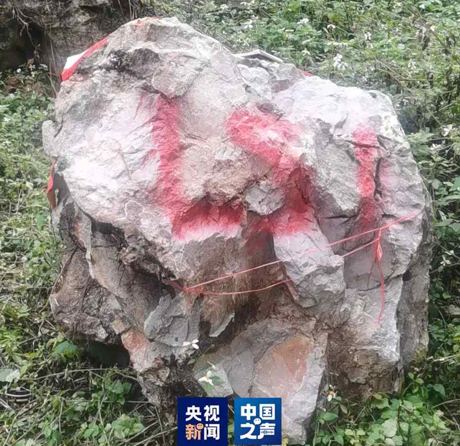 仅用50秒！上课时听到奇怪声音 她的一个决定救了202名师生！