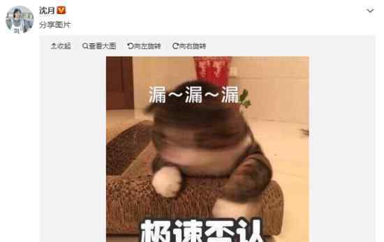 沈月否认出演中国版请回答1988 请回答1988讲的啥?