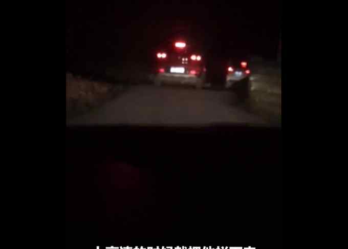 女子跟踪运狗车3天救600多条狗 有多个品种宠物犬 当地畜牧局回应