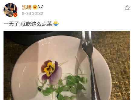 沈腾 一天就吃这么点菜什么梗沈腾疑回应发福胖