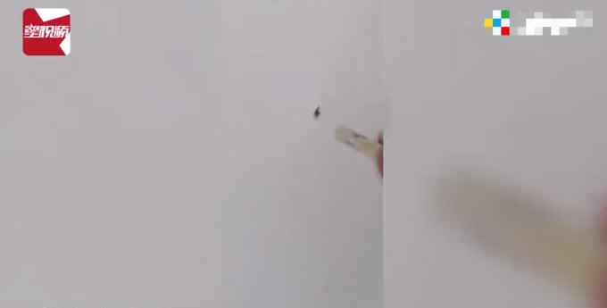 男子164万买房发现屋里一戳一个洞 第2天再去看时当场懵了！