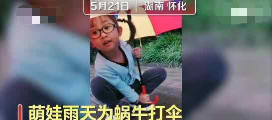 4岁萌娃雨天为蜗牛撑伞30分钟  网友：这就是天使宝贝[心]