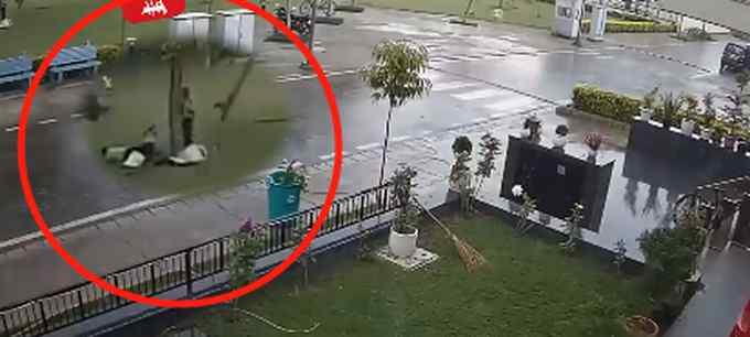 现场画面曝光！印度4名男子在树下避雨 一道闪电劈下后瞬间倒地