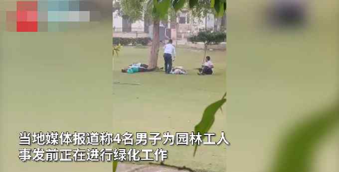 现场画面曝光！印度4名男子在树下避雨 一道闪电劈下后瞬间倒地