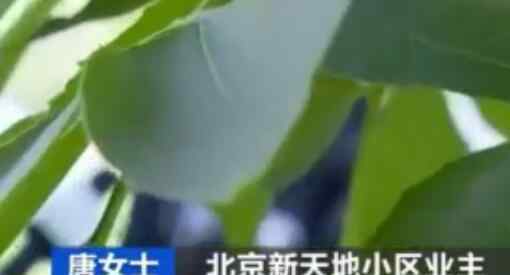 小区车位25万租36年上了热搜，最后怎么处理的