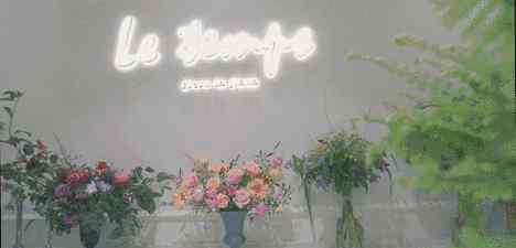 济南高新区花店 济南高逼格的花店都在玩什么？