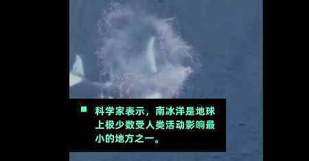 科学家发现地球上最干净空气 究竟是在哪里