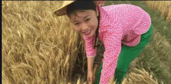 草帽姐怎么了 从一夜爆红到被骂“滚出娱乐圈”，草帽姐徐桂花，后来怎么样了？