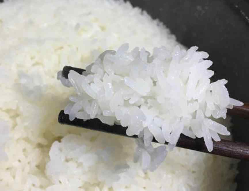 电饭煲蒸糯米饭的做法 电饭煲蒸米饭总糊锅？学会这样做，米饭粒粒分明，没有一点糊味
