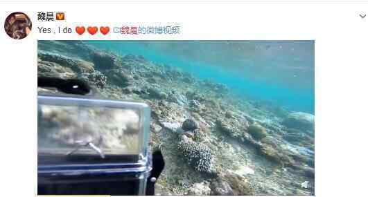 魏晨成功求婚 魏晨跟谁求婚具体情况是什么