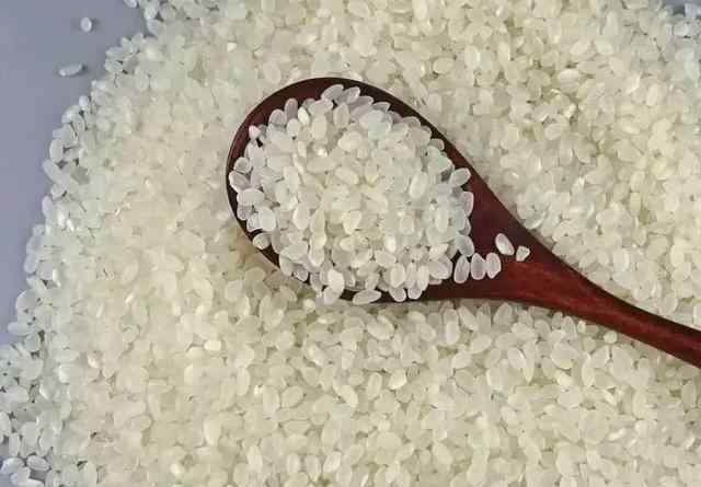 米虫的春天 大米里生米虫了还能吃吗？现在才恍然大悟！