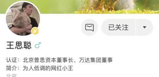 普思股权遭冻结 王思聪的旗下资本怎么了?