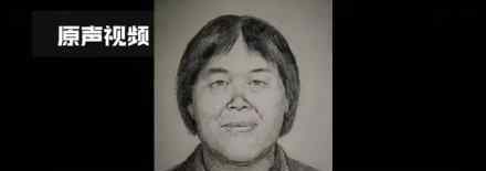 涉拐卖儿童案梅姨新画像 梅姨长什么样