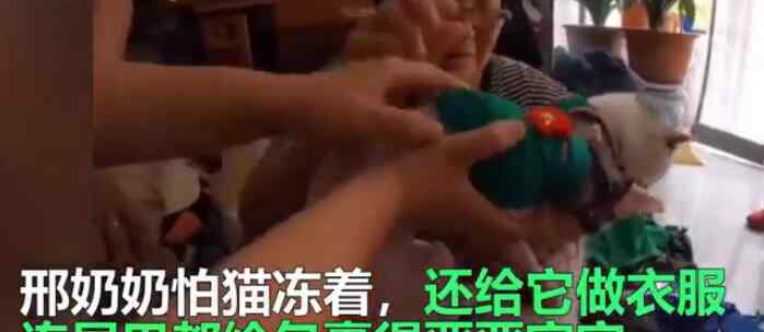 东北奶奶给无毛猫织毛衣 网友：这手咋长的