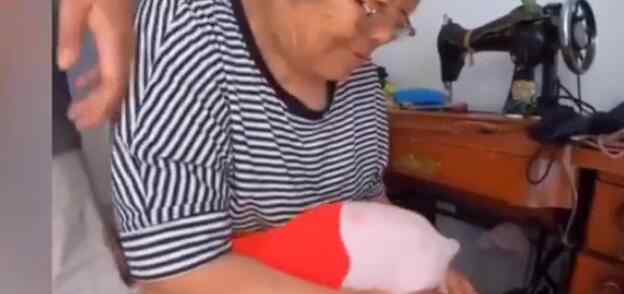 东北奶奶给无毛猫织毛衣 网友：这手咋长的