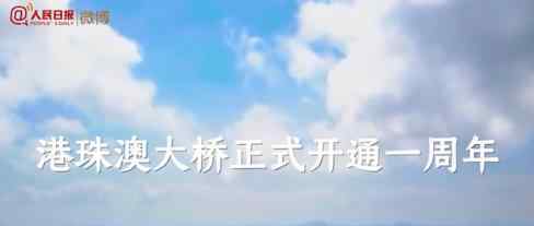 港珠澳大桥一周年 一年内港珠澳大桥都有什么贡献