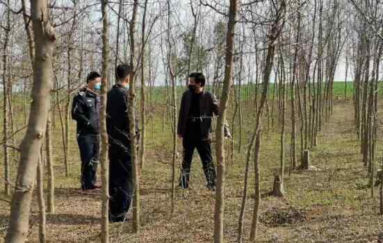 南阳森林卫士周树林：用生命守护每一片绿色 事件详情始末介绍！