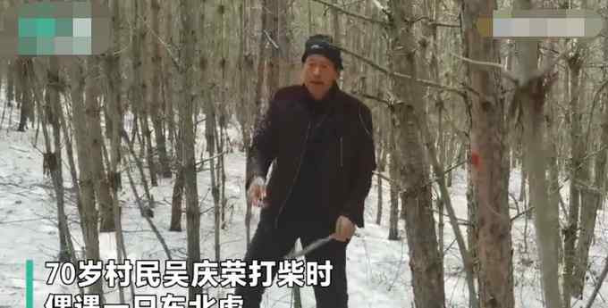 险！70岁老汉野外和500多斤东北虎对峙 他挥镰刀大叫以为必死