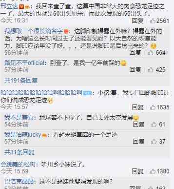 四川发现巨大恐龙足迹 是什么恐龙