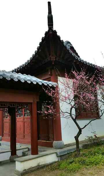 东四命 你知道自己是东四命，还是西四命吗？