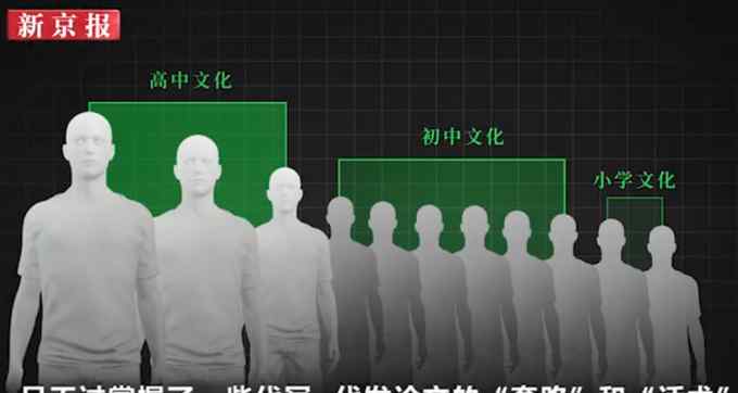 初高中学历团伙代写医学论文获刑：分工明确 骗倒高学历医生
