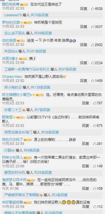 神农架拍到白化小麂影像 这是什么动物